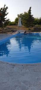 梅松吉The lodge的蓝色的游泳池,配有遮阳伞和桌子