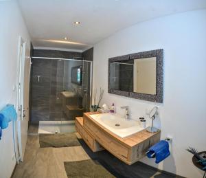 塞尔赖因山谷格里斯Veranda Appartement No.1的带浴缸、水槽和淋浴的浴室