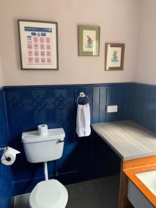 克里夫Squirrel Away At Leven House的蓝色的浴室设有卫生间和水槽
