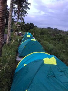 BanjarangkanBalicamper的停在田野里的一排蓝色帐篷