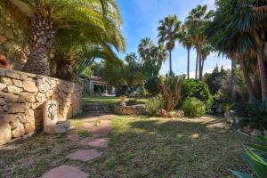 莫莱拉Casa Chimo的棕榈树庭院和石墙