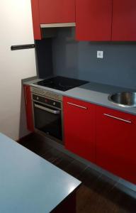 马德里Ático,loft ,duplex的红色的厨房配有炉灶和水槽
