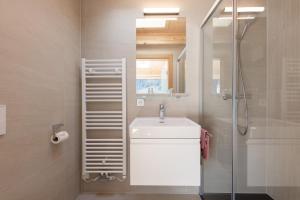 施图拜河谷新施蒂夫特Pension Gulla - Ferienhaus Appartements B&B的一间带水槽和淋浴的浴室
