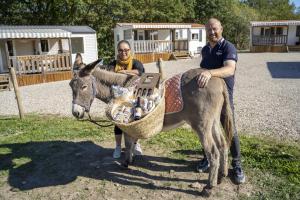 布雷叙尔Camping de la ferme aux ânesses, mobil home myrtille的两个男人站在驴旁边