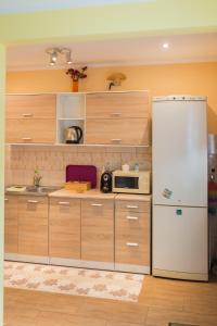 韦切什Green Lake Airport Apartments的厨房配有木制橱柜和白色冰箱。