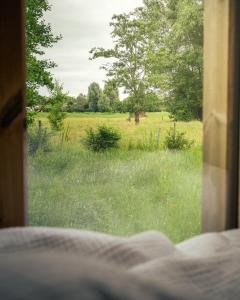 Nice and Slow : Eco-responsible tiny house的从窗户欣赏草地的景色