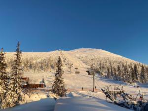 洛夫斯达伦Nybyggd 8-bäddars skidstuga i Lofsdalen的雪覆盖的山,设有滑雪缆车