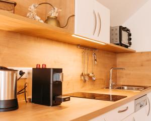 OrtFerienhof Leopold in der Grub的厨房配有黑色冰箱和水槽