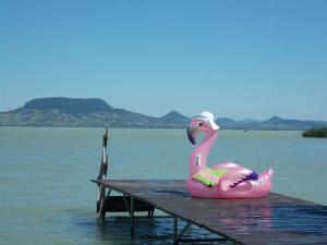 福纽德Fonyód Camping & Apartman的水面上的一个粉红色橡皮鸭