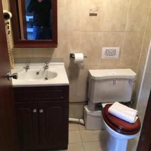 格拉斯哥富勒顿公园酒店 的一间带水槽、卫生间和镜子的浴室