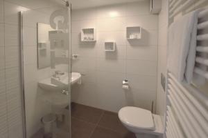 慕尼黑Boardinghouse Henschelstraße的浴室配有卫生间、盥洗盆和淋浴。