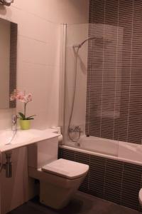 瓦伦西亚Apartment Plaza de la Merced的浴室配有卫生间、盥洗盆和淋浴。