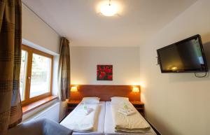 伏尔塔瓦河畔利普诺里普诺湖度假酒店的一间卧室配有一张床和一台平面电视