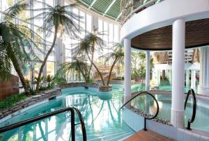 沃卡蒂卡提库塔假日俱乐部酒店的一座棕榈树游泳池