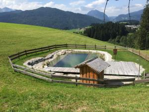 阿布特瑙Sonnleit'n Zimmer的草地中央的游泳池