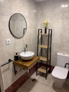 赫雷斯-德拉弗龙特拉Santa Lucía的一间带水槽、镜子和卫生间的浴室