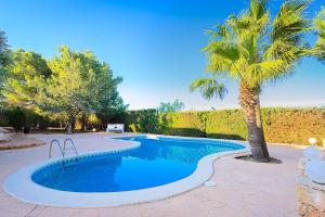 圣乔治VILLA OASIS IBIZA的庭院中棕榈树的游泳池