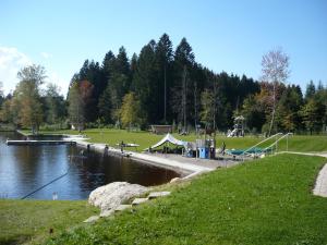 林登贝格Ferienhof Bitschnau的公园里有一个码头,湖上的人也在那里