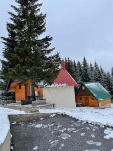 扎布利亚克克尔斯塔季奇简易别墅酒店的雪中松树小屋