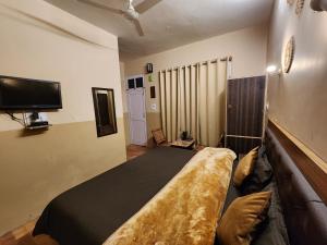 JariWoodzo Kasol的一间卧室配有一张床和一台平面电视