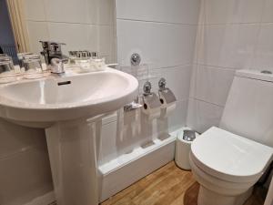 纽比桥兰丁小屋宾馆的白色的浴室设有水槽和卫生间。