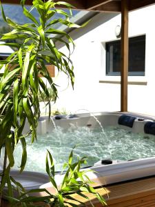 萨拉济Villa Couleur Nature的旁边是一座带盆栽的热水浴池