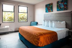 阿瓜迪亚埃尔法罗酒店的酒店客房设有一张大床和两个窗户。