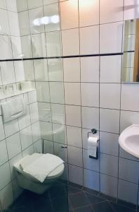 埃伦茨-波尔特斯多夫文古德润酒店的一间带卫生间和水槽的浴室