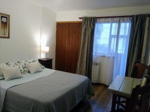 圣卡洛斯-德巴里洛切Astoria Patagonia habitaciones privadas的一间卧室设有一张床和一个大窗户