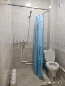 布哈拉Nur-Niso Guest House的带淋浴、卫生间和浴帘的浴室