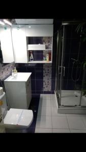 贝尔格莱德Spa Apartment的浴室配有白色卫生间和淋浴。