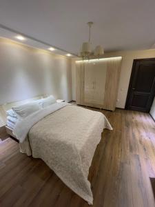 陶拉格Dviejų kambarių butas的一间卧室设有一张大床,铺有木地板