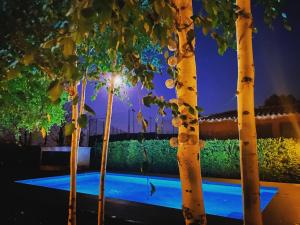 莫略卡里克索酒店的夜晚在游泳池前的一排树木