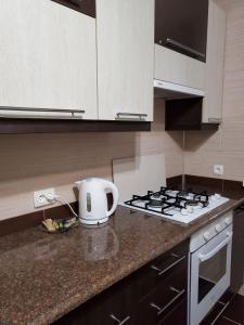 乌曼岛Guest house的厨房柜台配有炉灶和烤面包机。