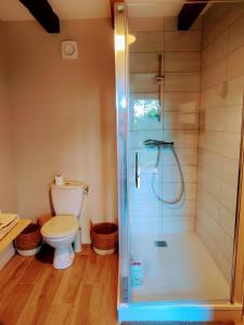 MarbozFerme de Chamonal的带淋浴和卫生间的浴室
