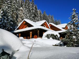 巴德小基希海姆Chalet Caprea的树前的小木屋,雪覆盖