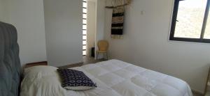 维库尼亚Casa Puclaro, terraza panorámica Valle del Elqui的卧室配有白色的床和窗户。