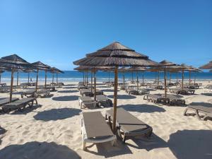卡巴纳斯·德·塔维拉Aldeia Formosa - Cabanas de Tavira的海滩上设有椅子和遮阳伞,还有大海