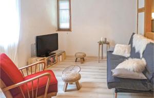 莫尔塞姆Awesome Apartment In Molsheim With 1 Bedrooms And Wifi的带沙发和电视的客厅