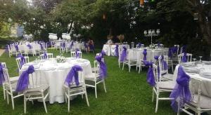 安卡拉达芙尼酒店的一套带紫色餐巾的桌椅