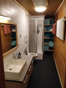 延巴赫Appartement Fischl的一间带水槽、淋浴和卫生间的浴室