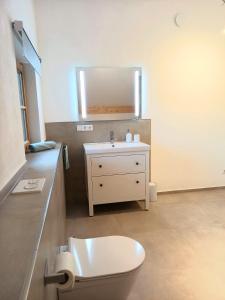 马夸特施泰因Ferienwohnung Menter的一间带水槽、卫生间和镜子的浴室