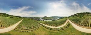 尼特尔Weingut Matthias Dostert / Culinarium的葡萄园的空中景色,田野上设有吊床