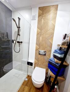 普拉亚Appart Dolce Vita à Praia的一间带卫生间和淋浴的浴室