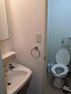 饭山市斑尾白兔度假屋的浴室配有白色卫生间和盥洗盆。