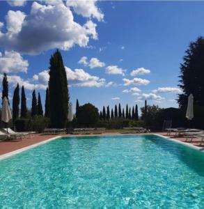 雷杰洛Agriturismo San Jacopo的一座拥有蓝色海水和树木的大型游泳池