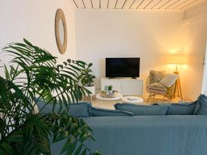 黄金海岸Cooly Coastal Escape walk to beach & shops的客厅配有蓝色的沙发和电视