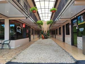 利比里亚HOTEL DEL RiO的天花板上植物的建筑的空走廊