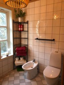Svelvik罗尔维克别墅公寓的一间带卫生间和水槽的浴室