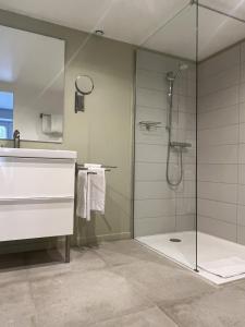 莫索特默尔索酒店的带淋浴的浴室和玻璃门